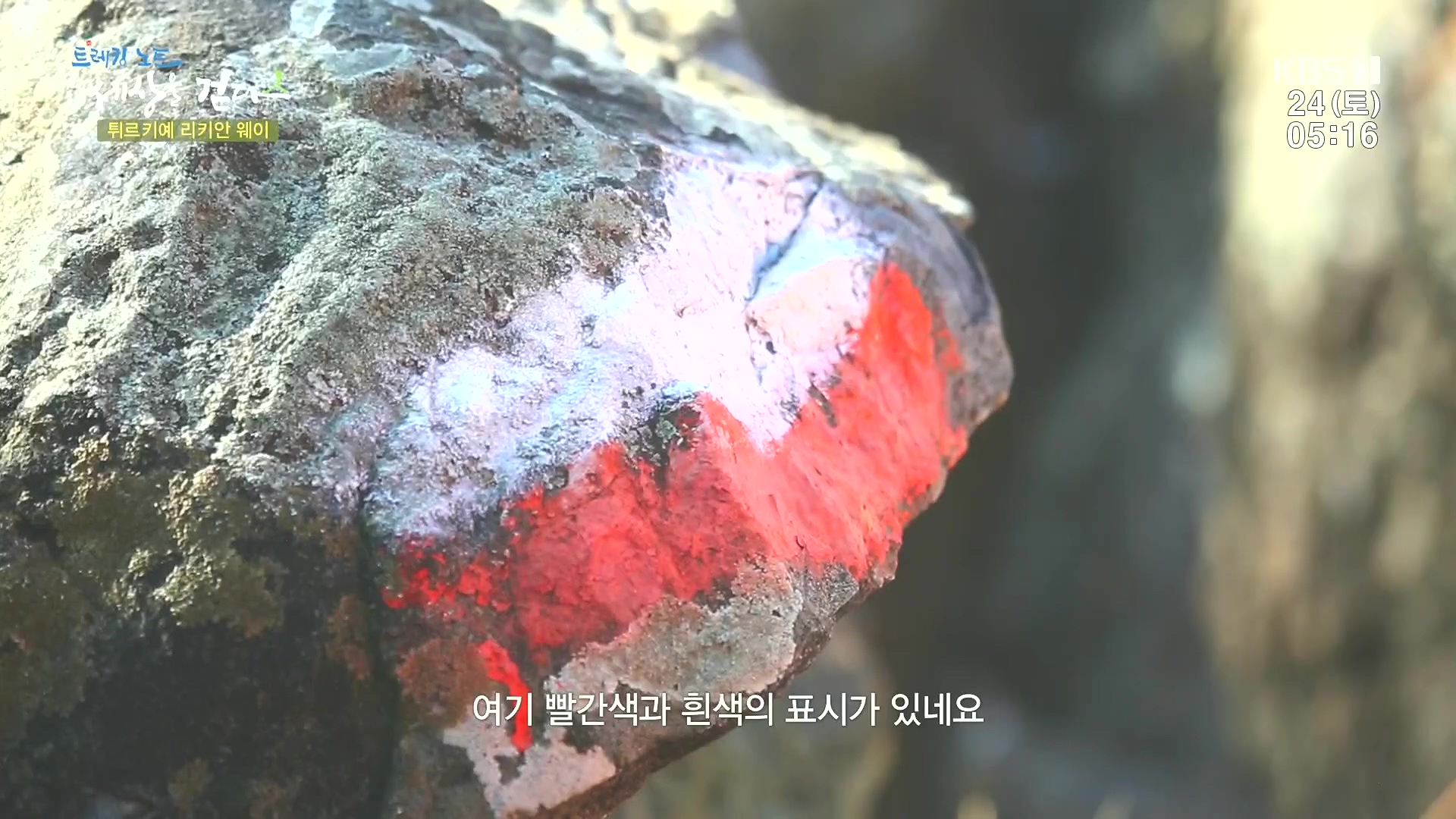 트레킹노트 세상을 걷다.E309.240224p.H264-F1RST.mp4_20240808_195651.823.jpg