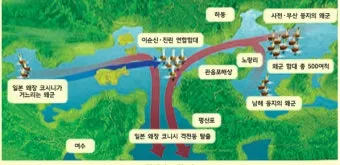 이순신 3대 대첩 순서 의미 역사_9