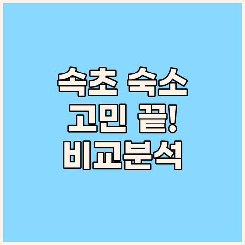 속초 여행 숙소 고민 끝 롯데리조트 