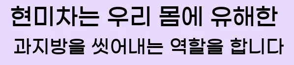  현미차는 우리 몸에 유해한 과지방을 씻어내는 역할을 합니다