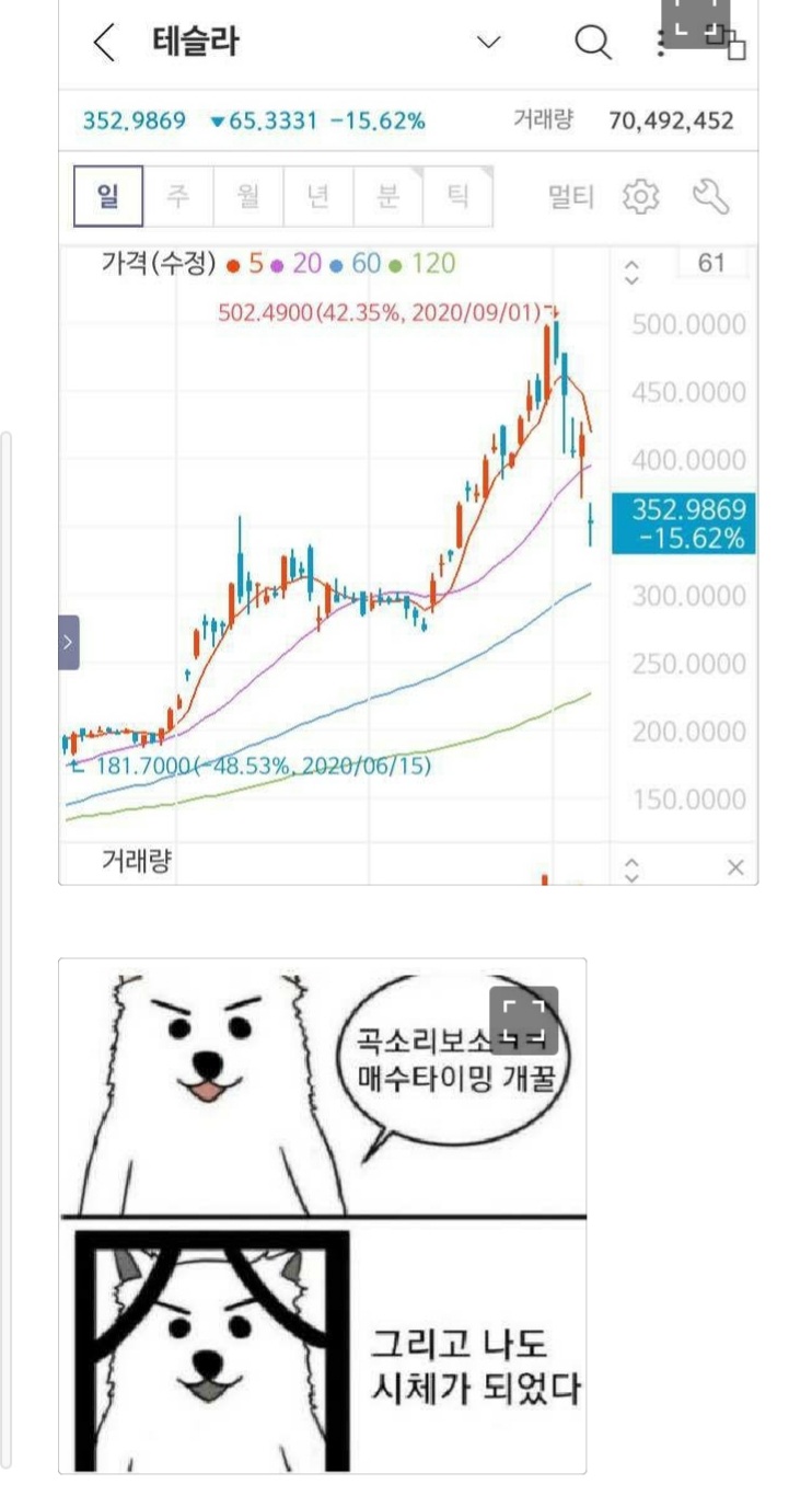  테슬라 어찌해야 할까요?