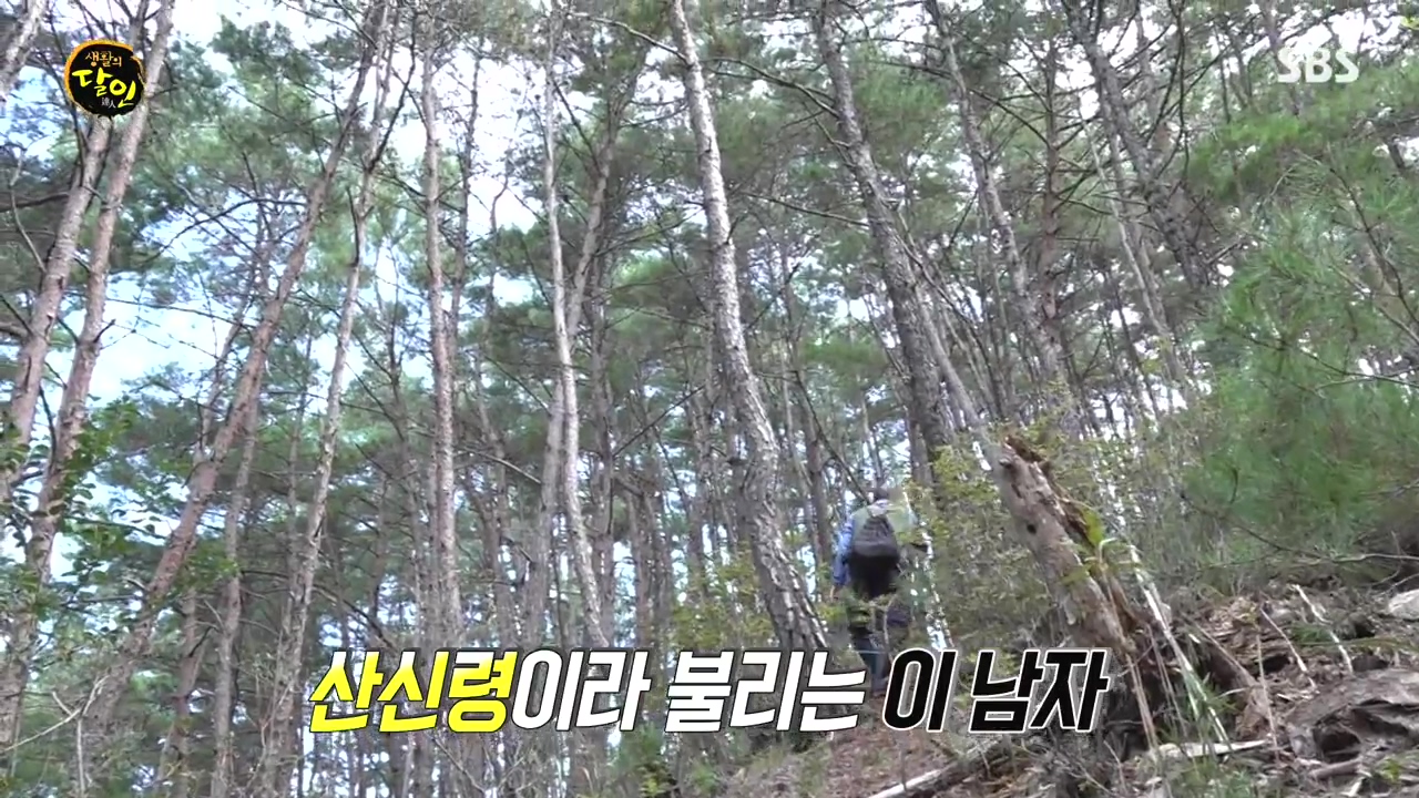 생활의 달인.E907.231010p-NEXT.mp4_20231010_202415.301.jpg