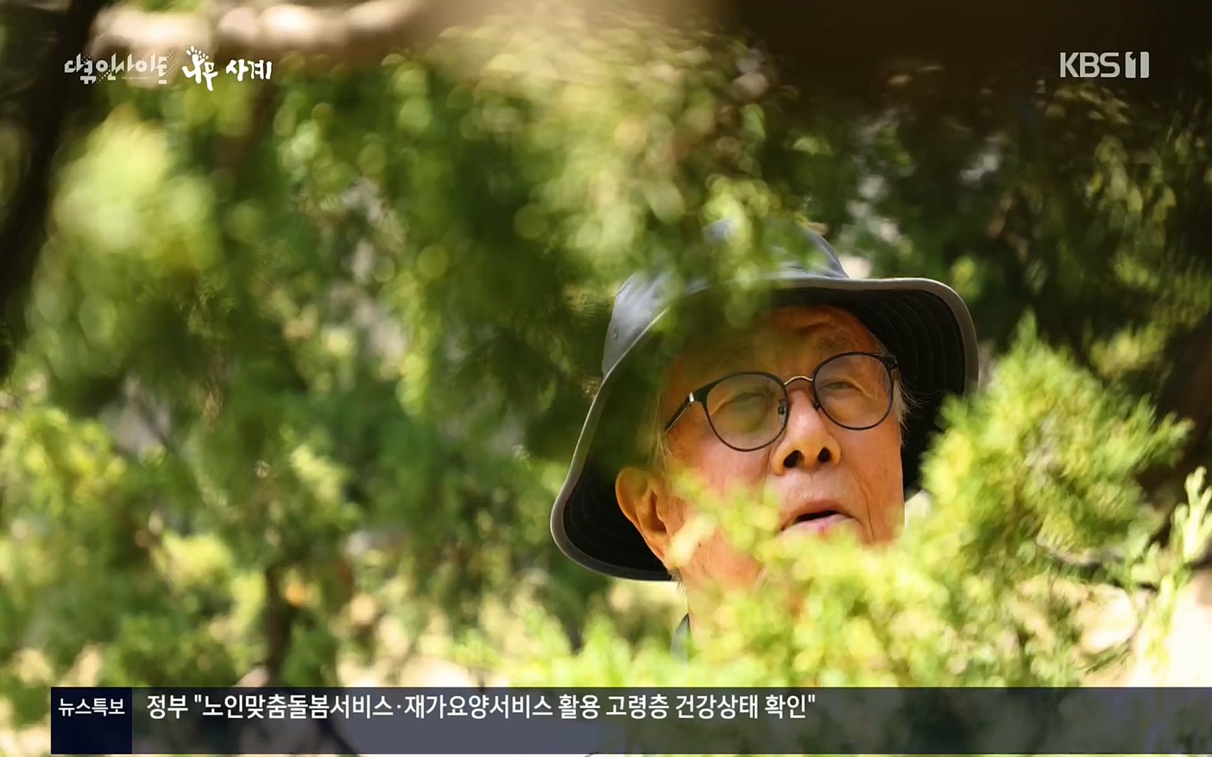 다큐 인사이트.E124.220908p.H264-F1RST.mp4_20220912_143733.732.jpg