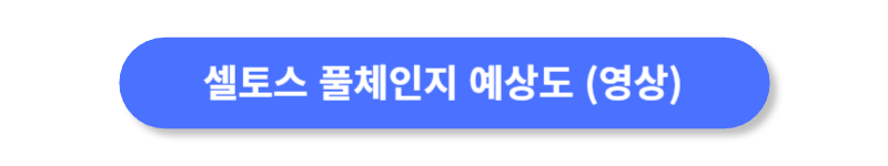 버튼