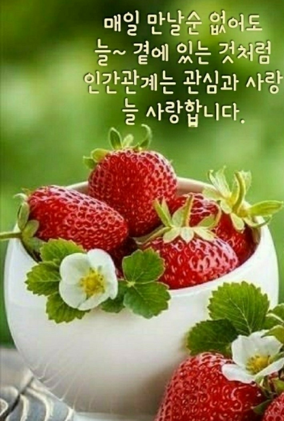  오늘의 좋은글 250번째 성공으로 가는 방법은 현상을 이해하는것이 아니라 앞으로 나아가야 합니다