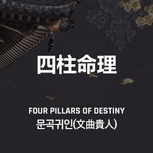 문곡귀인(文曲貴人)