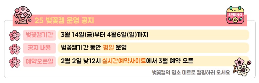 벚꽃 캠핑장 밀양 미르캠핑장