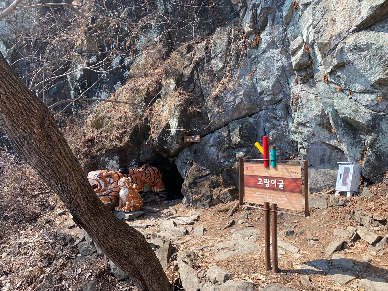 산위의 바위앞에 호랑이 모형이 있고 호랑이굴이라는 표지판이 세워져있다