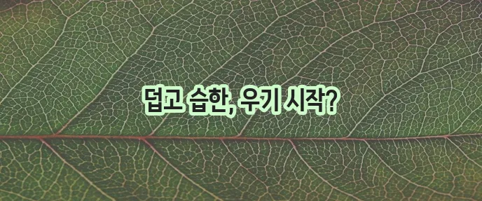 7월 다낭 날씨, 정말 궁금하시죠!