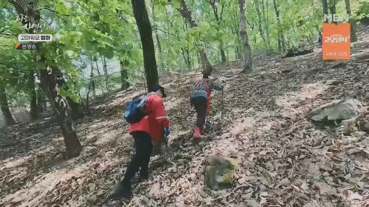 나는 자연인이다.E554.230518p.H264-F1RST.mp4_20230518_194514.823.jpg