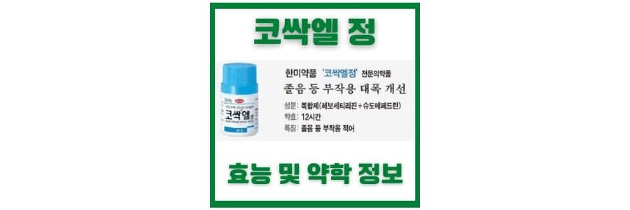  코싹엘정과 부작용 및 효능과 주의 사항