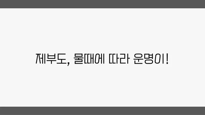 제부도 물때: 방문 전 확인 필수