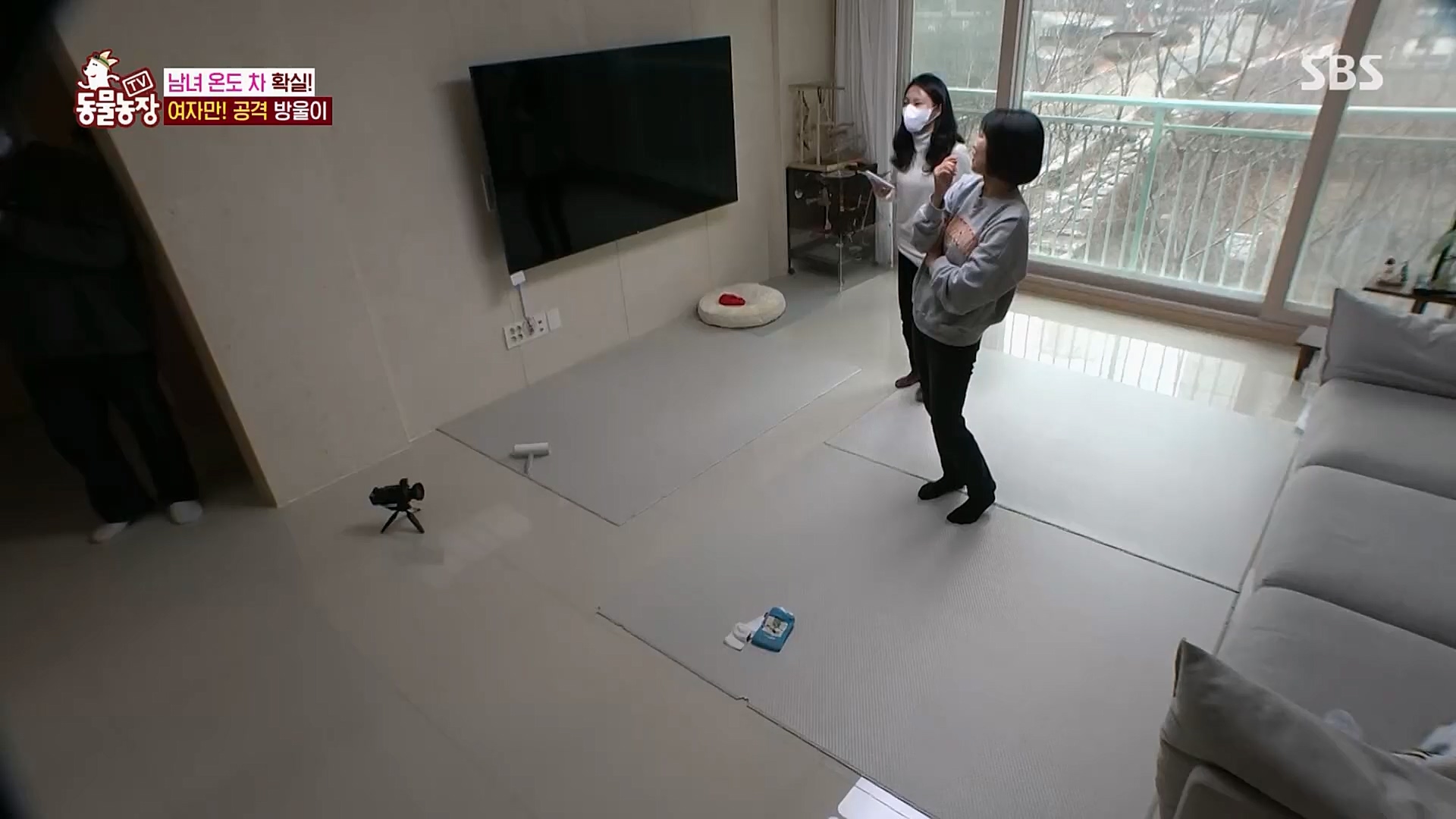 TV 동물농장.E1110.230305p.H264-F1RST.mp4_20230305_183143.679.jpg
