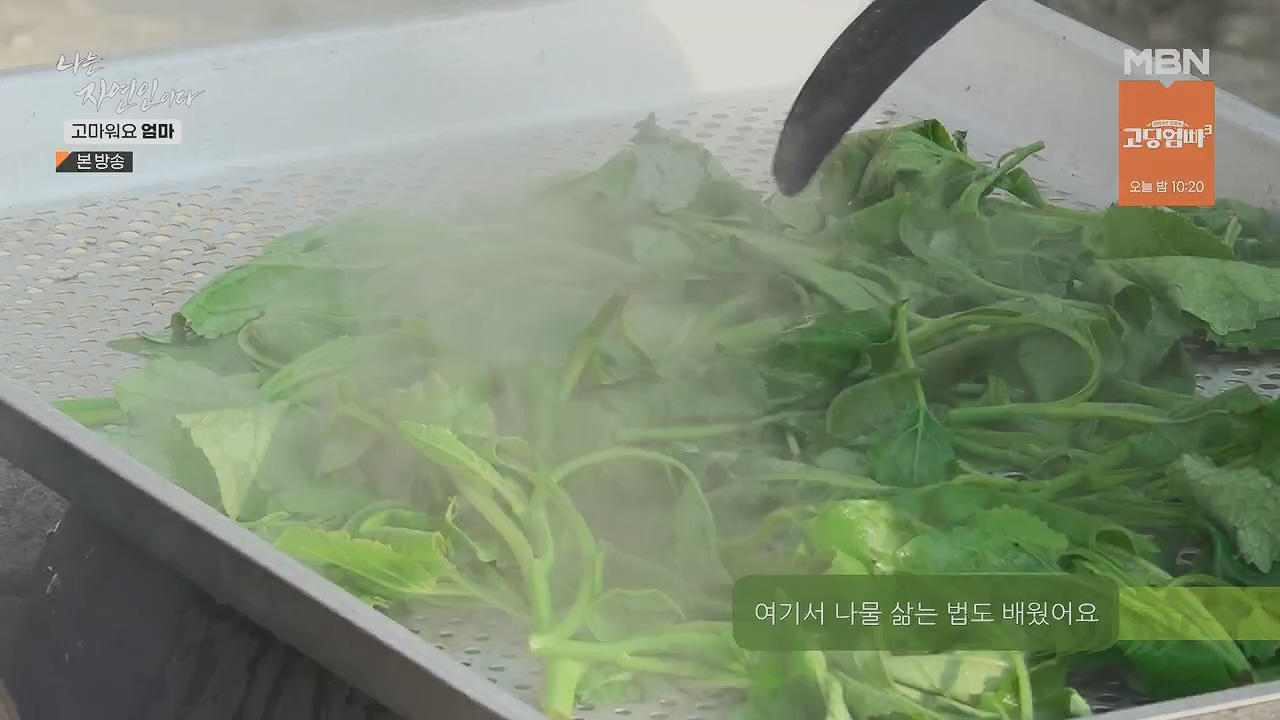 나는 자연인이다.E554.230518p.H264-F1RST.mp4_20230518_194517.194.jpg