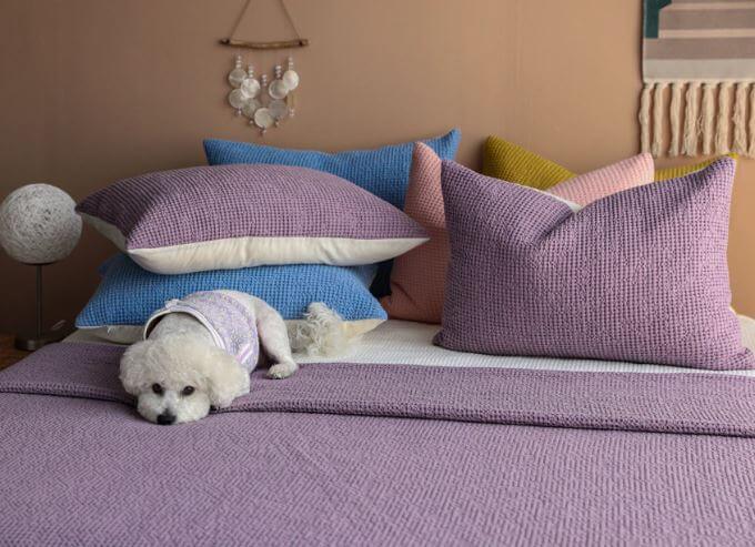보라색 침대커버에 강아지 인형