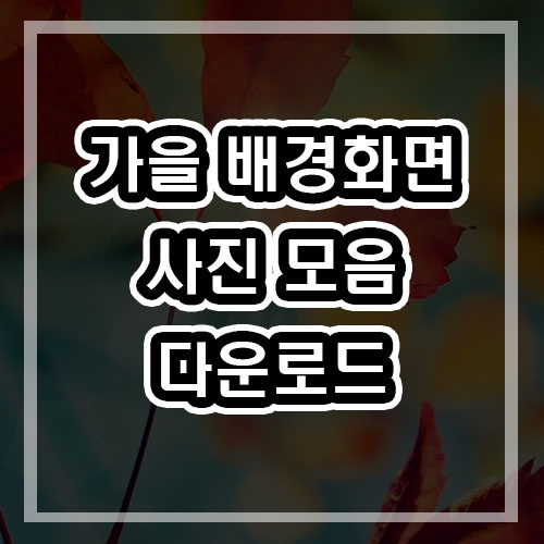  가을 배경화면 으로 분위기 전환하기 가을배경화면모음