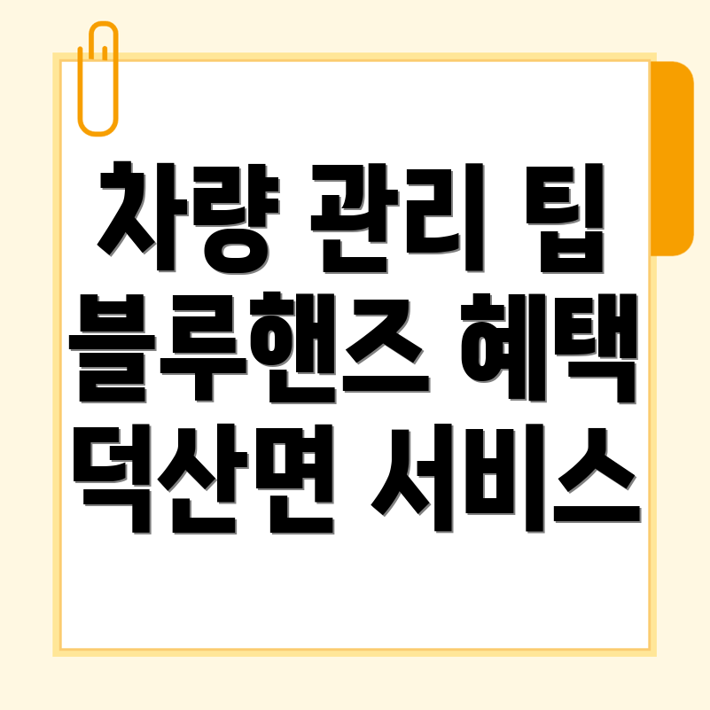 제천시 블루핸즈