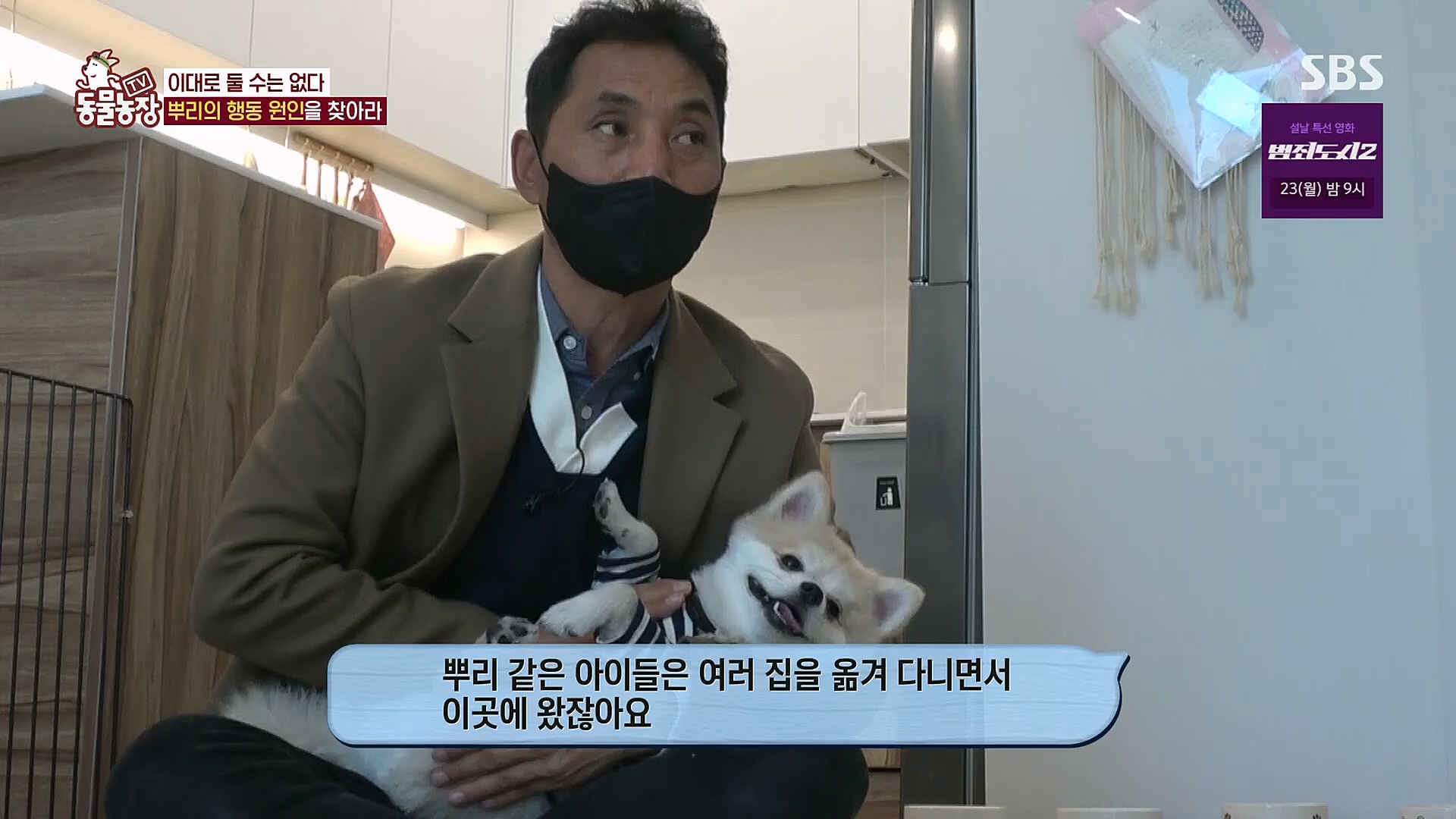 TV 동물농장.E1104.230115p.H264-F1RST.mp4_20230115_173202.826.jpg