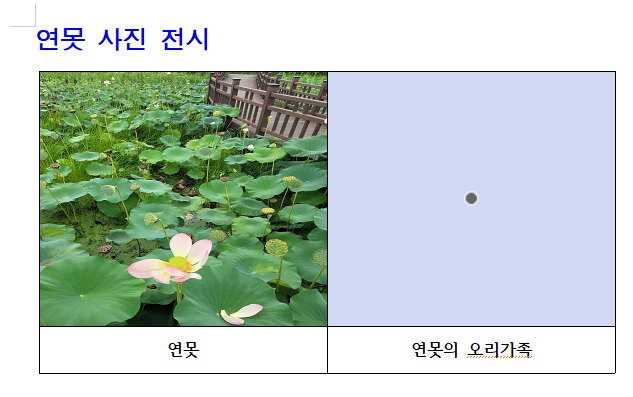 아래한글-표-그림-삽입