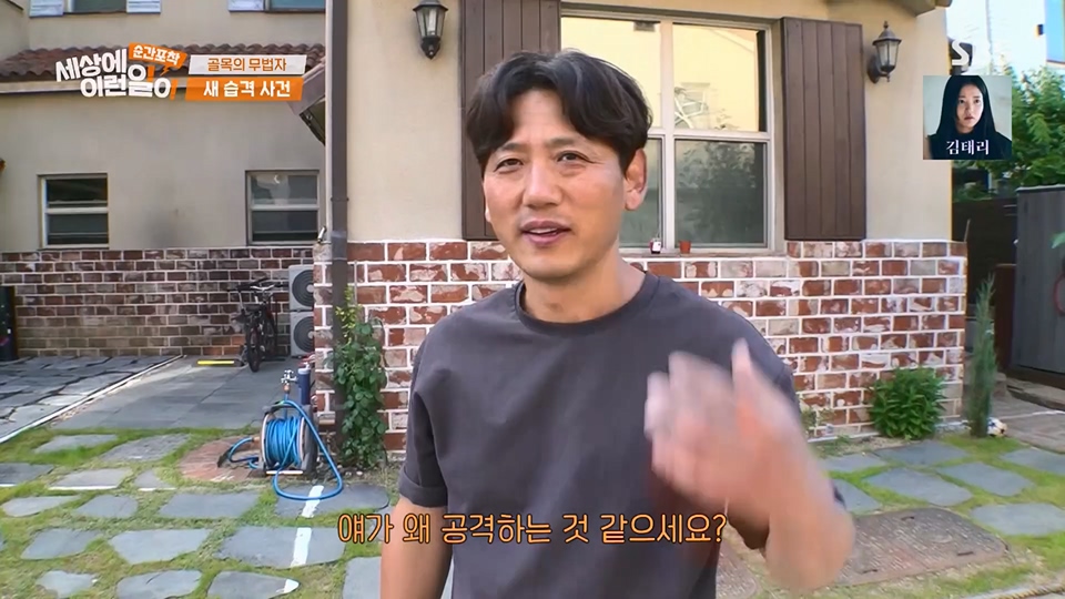 순간포착 세상에 이런일이.E1233.230617p.H264-F1RST.mp4_20230618_175937.797.jpg