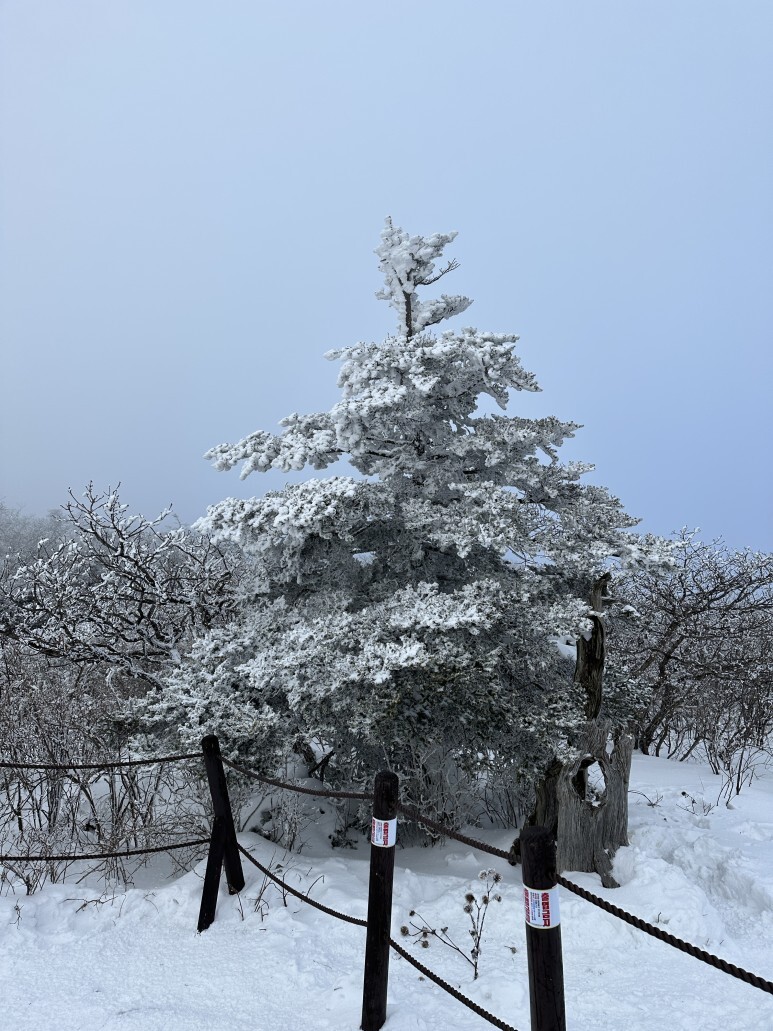 덕유산 등산코스 상고대