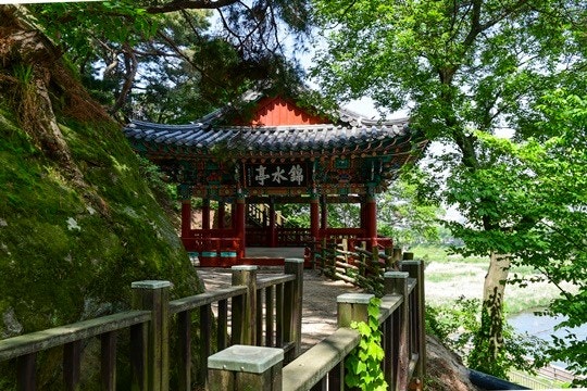 금수정 사진