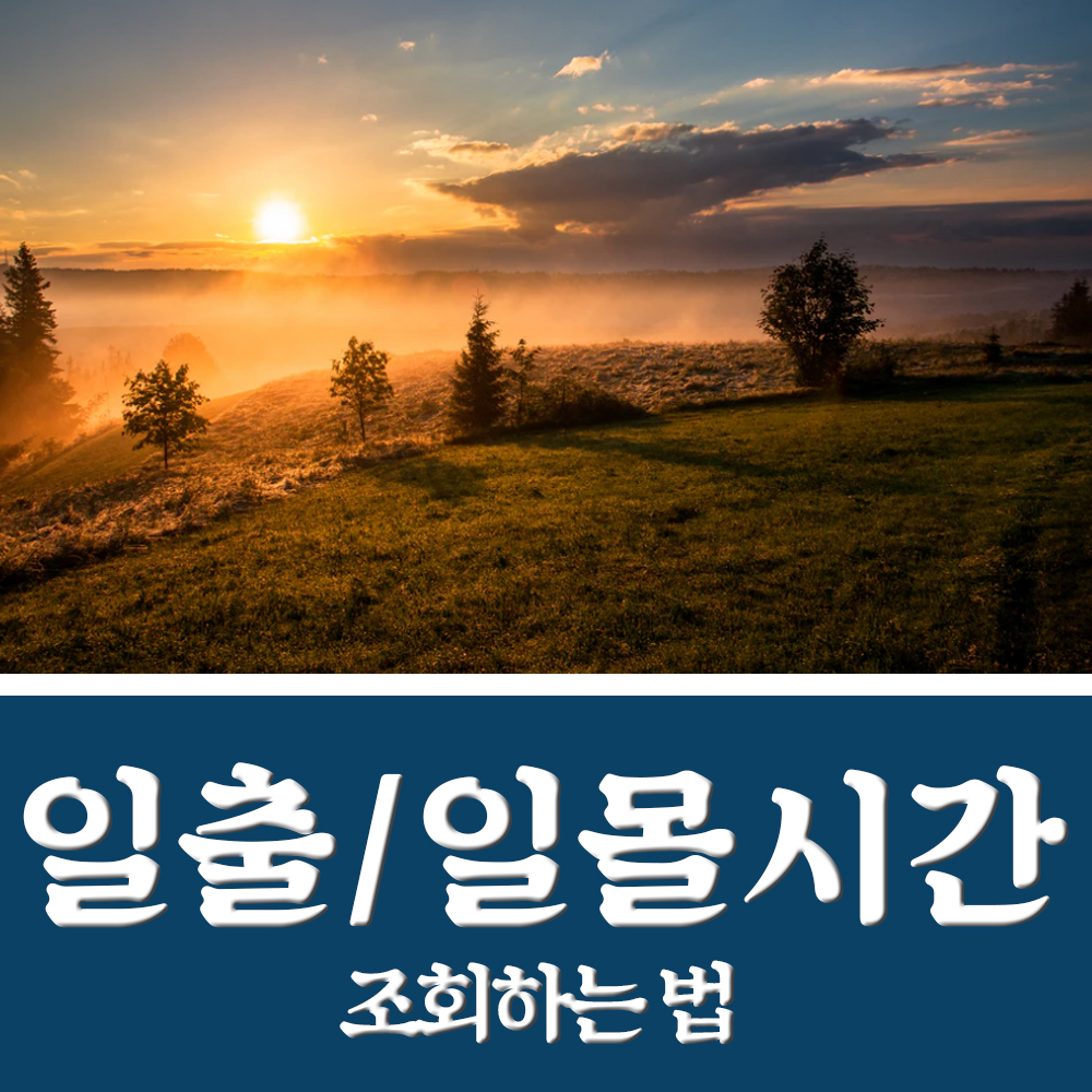  전국 일출시간, 일몰시간 1초 조회하는 법