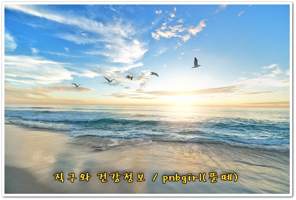  익일 뜻 명일 뜻 작일 금일 무슨 뜻일까?