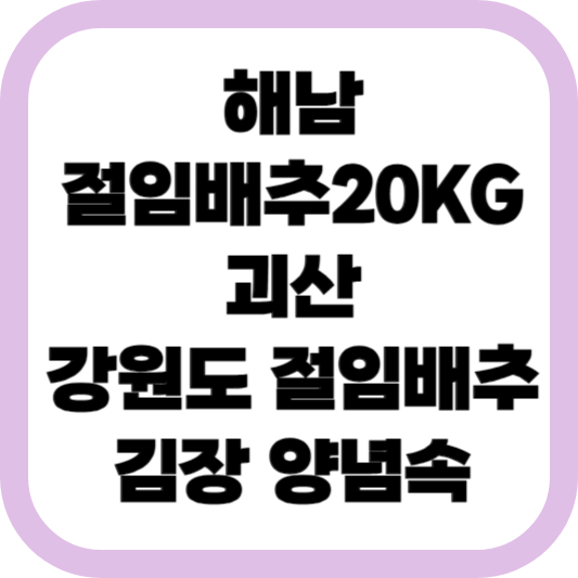 해남 절임배추20KG-괴산-강원도-절임배추-김장-양념속