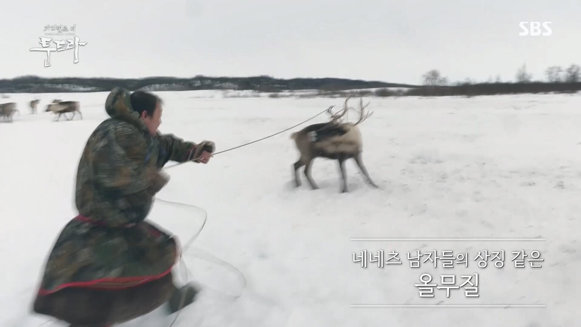 일요 특선 다큐멘터리.E313.230423p.H264-F1RST.mp4_20230423_142723.105.jpg