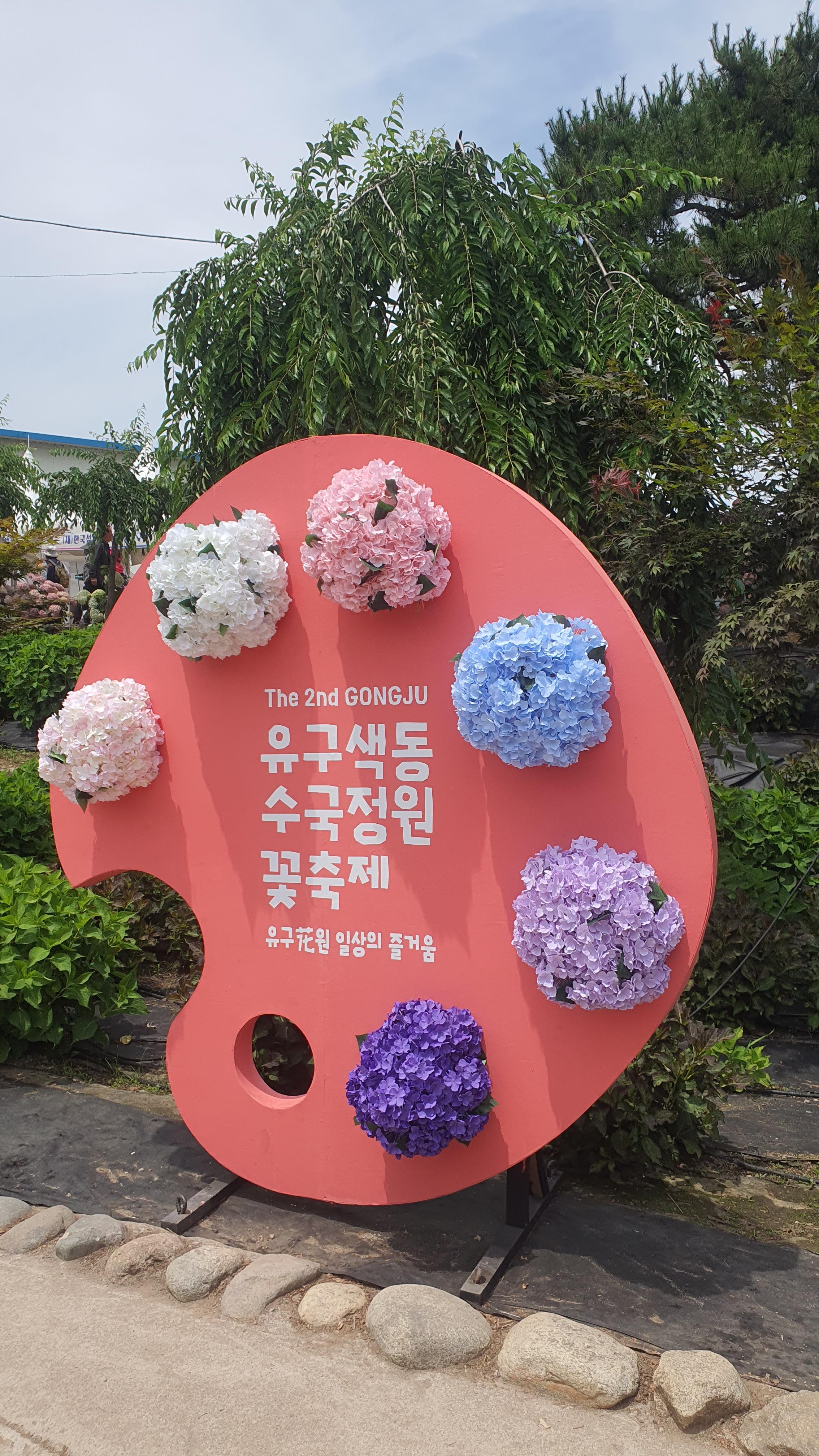 공주 유구 수국축제 주차정보(6월 충남 꽃축제)