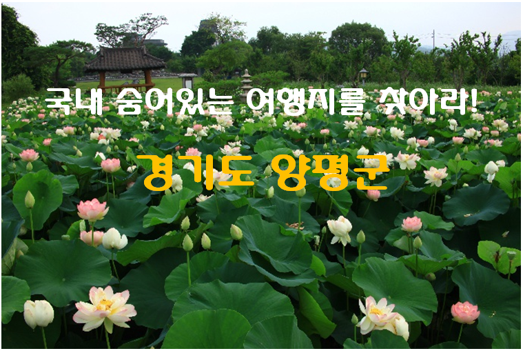  국내 숨은 여행지를 찾아서 - 경기도 양평 세미원을 소개합니다.