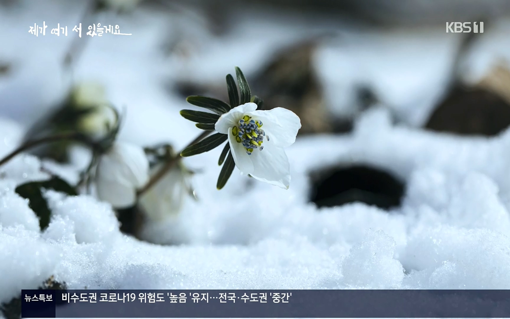 다큐 인사이트.E124.220908p.H264-F1RST.mp4_20220912_142636.699.jpg