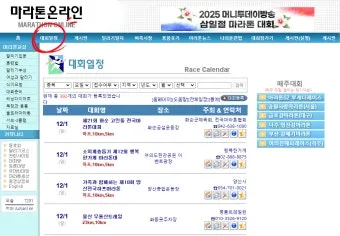 마라톤 온라인 대회 일정 2025년_4
