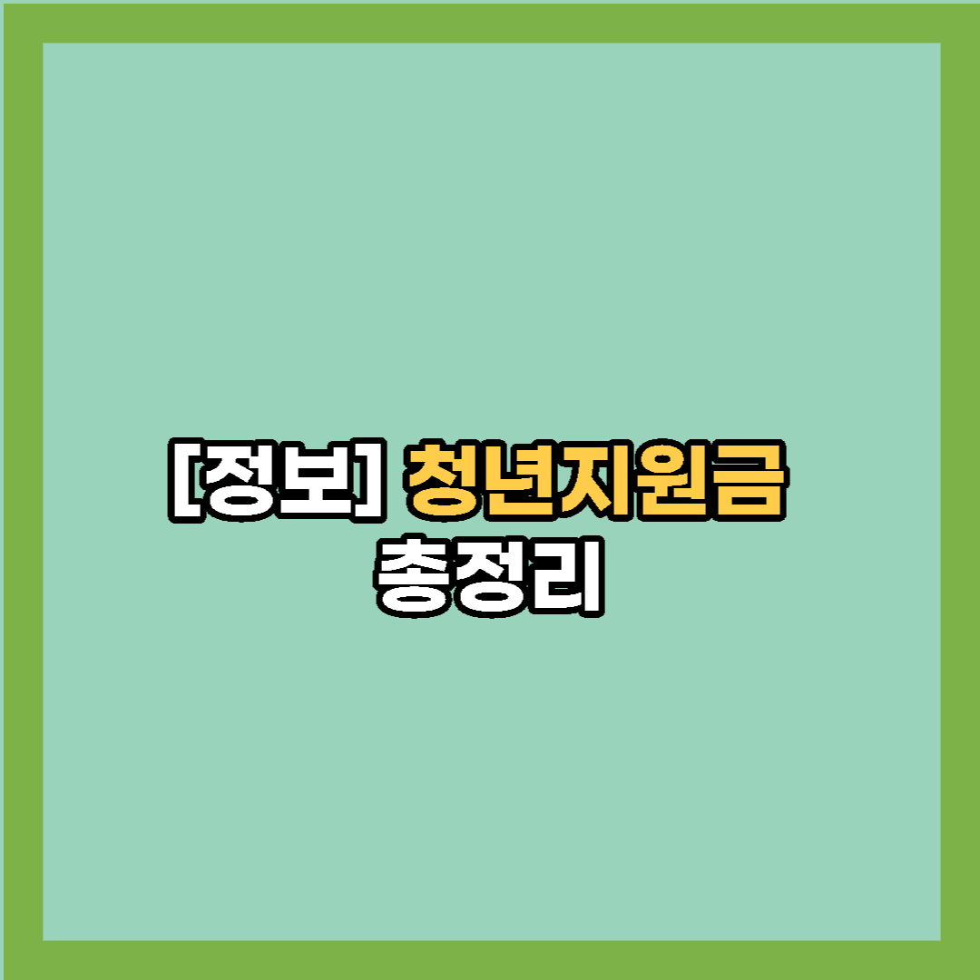 청년지원금-총정리