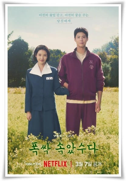 폭싹 속았수다 포스터