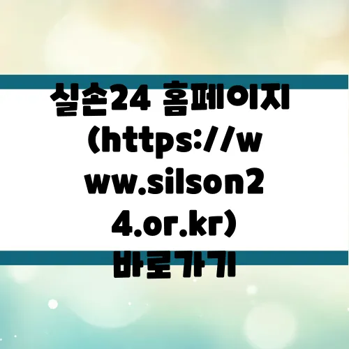 실손24 홈페이지 (https://www.silson24.or.kr) 바로가기
