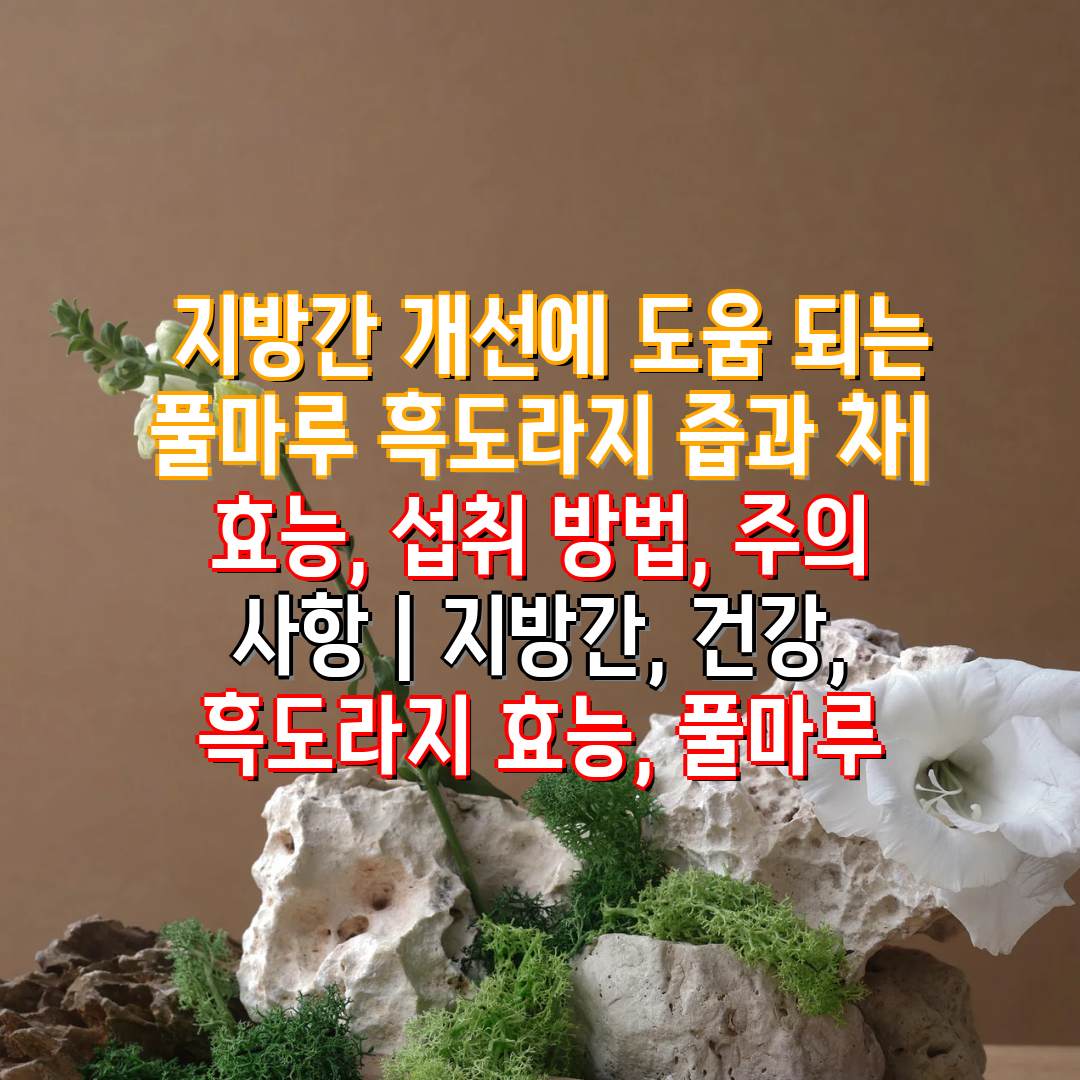  지방간 개선에 도움 되는 풀마루 흑도라지 즙과 차 효