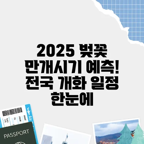 2025 벚꽃 만개시기 예측! 전국 개화 일정 한눈에