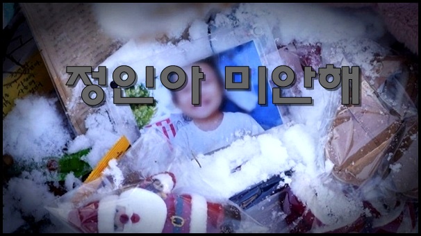  정인아 미안해 국민들 살인죄 적용하라 정치권은 또 뒷북?