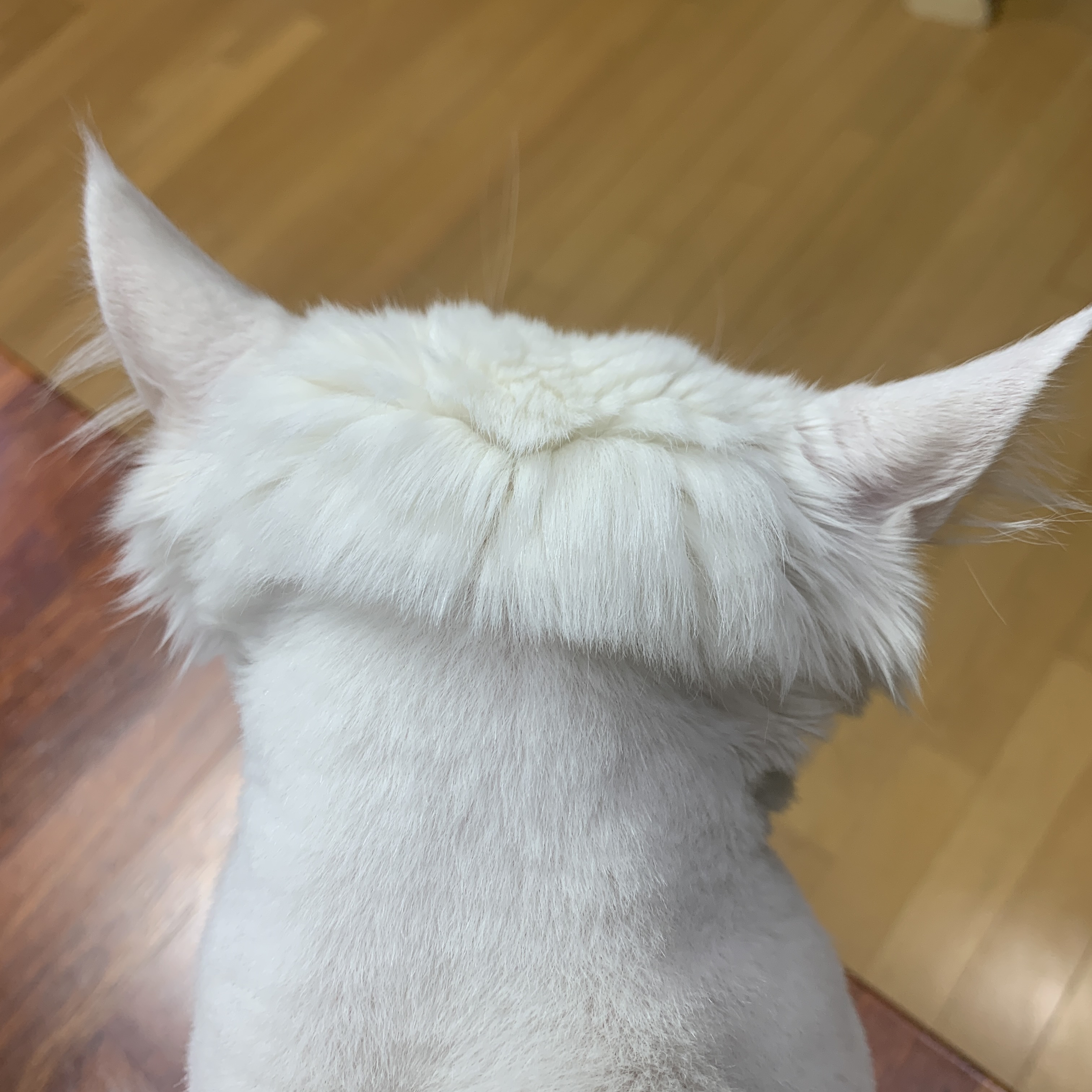  투블럭 한 썰 푼다