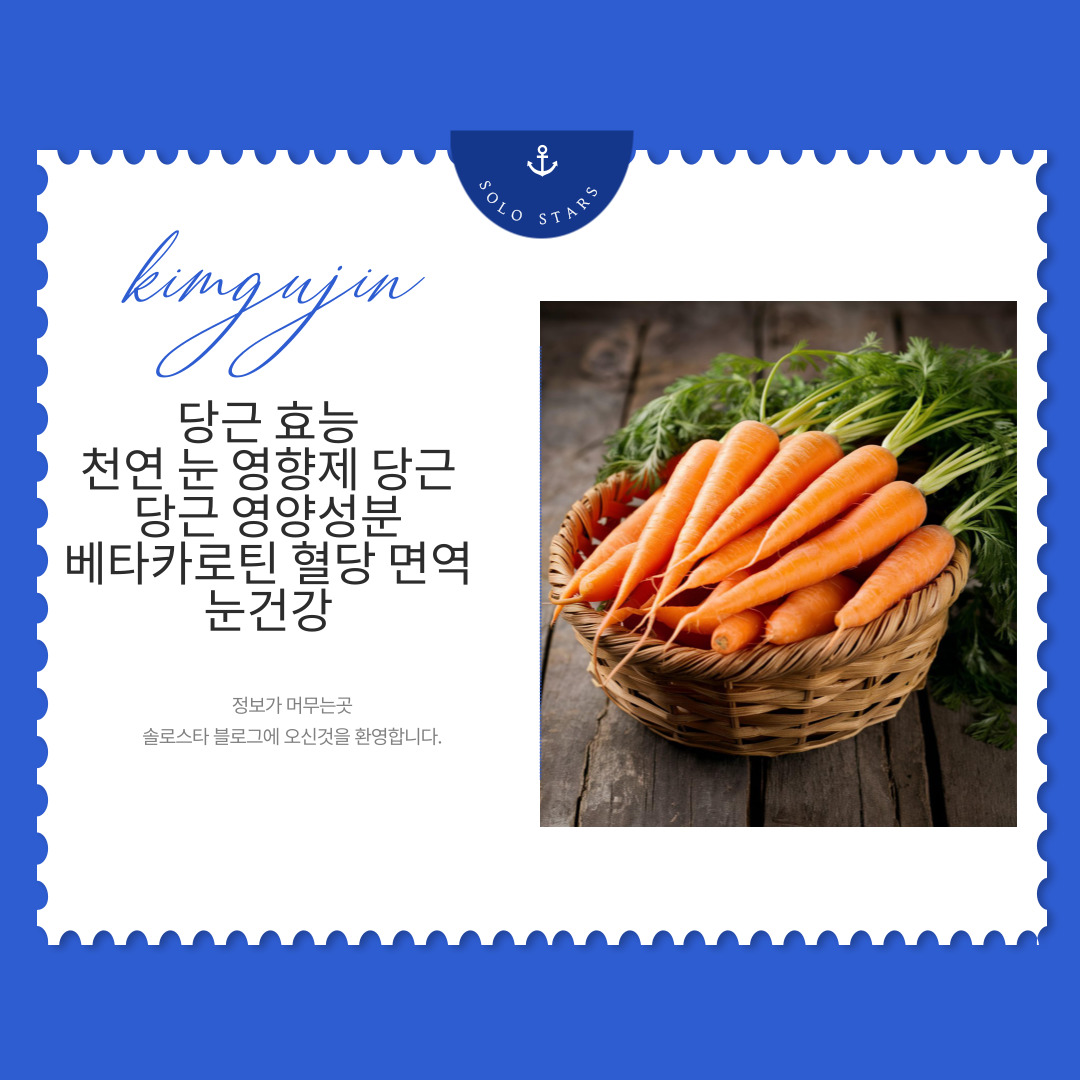 당근 사진
