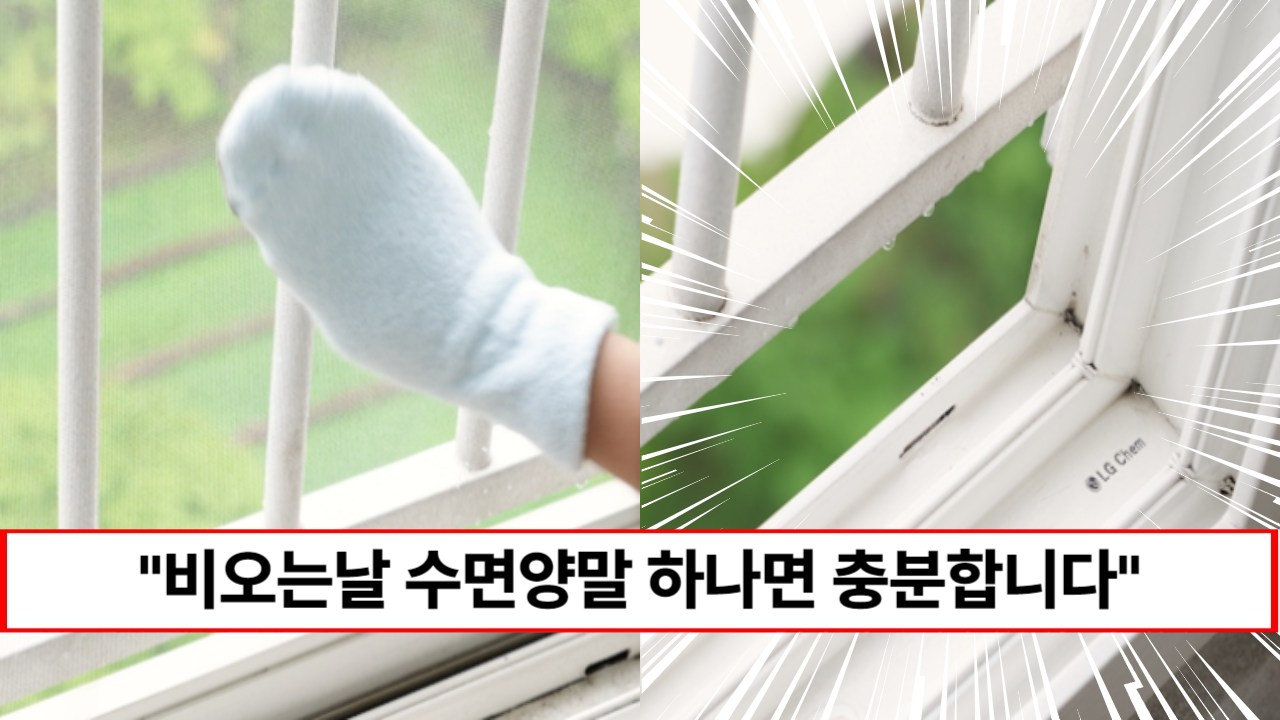 “비오는날 10분이면 충분합니다” 고생하지 않아도 방충망을 새것처럼 만들 수 있는 청소방법