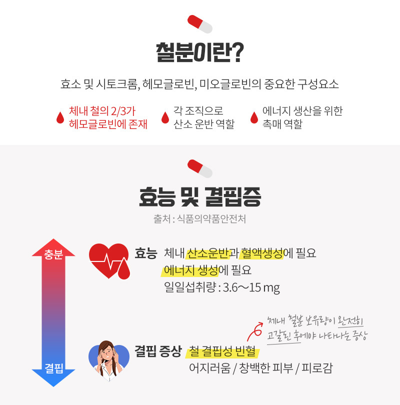  인간 에너지 충전제 철분을 알아보자!
