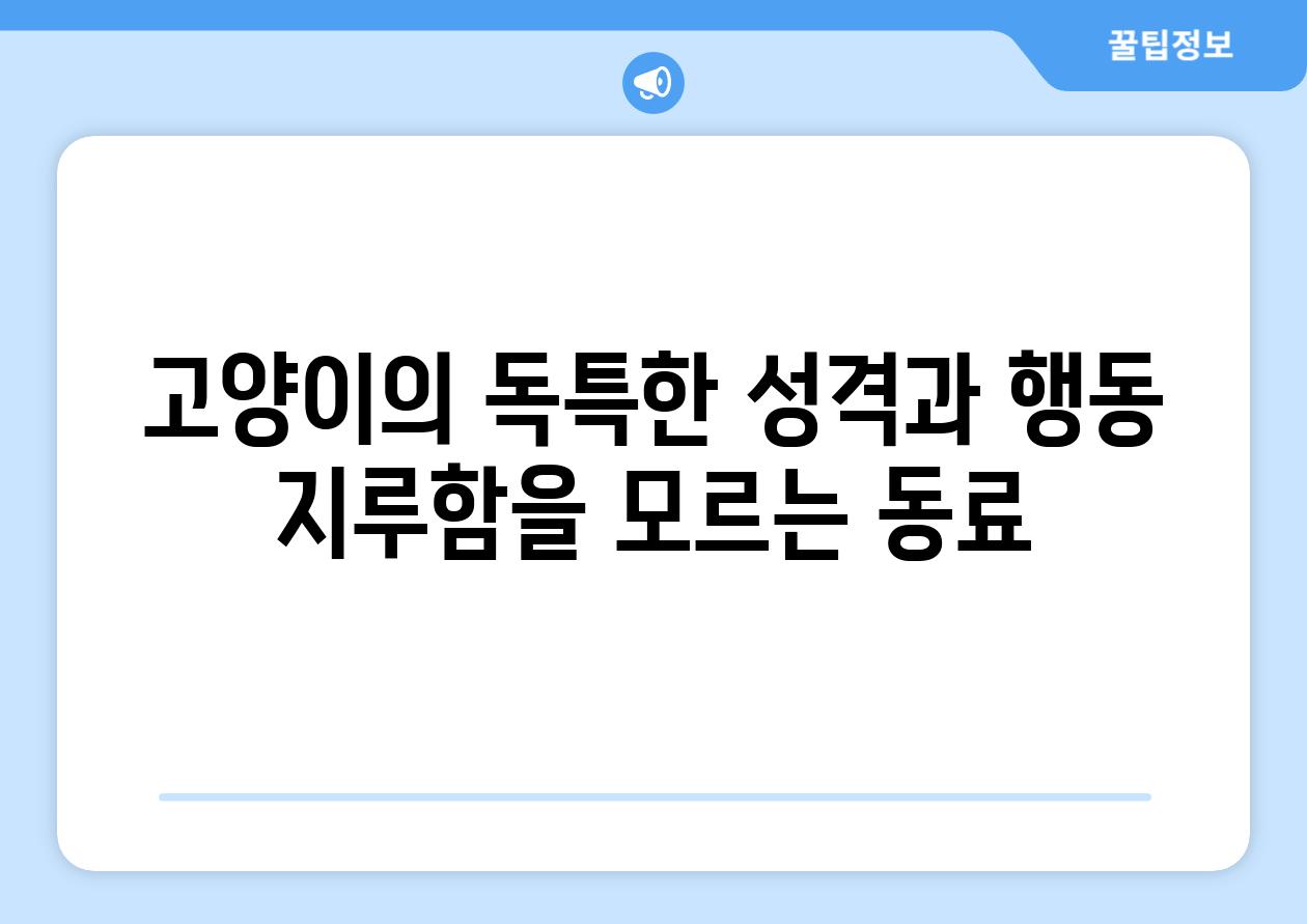 고양이의 독특한 성격과 행동 지루함을 모르는 동료