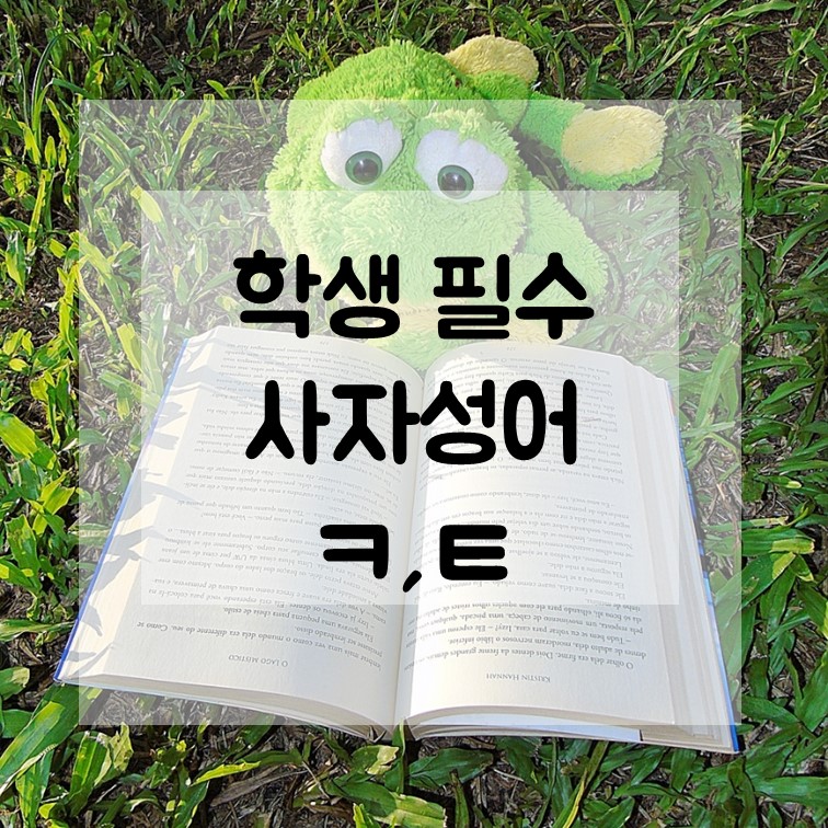 책-읽는-개구리