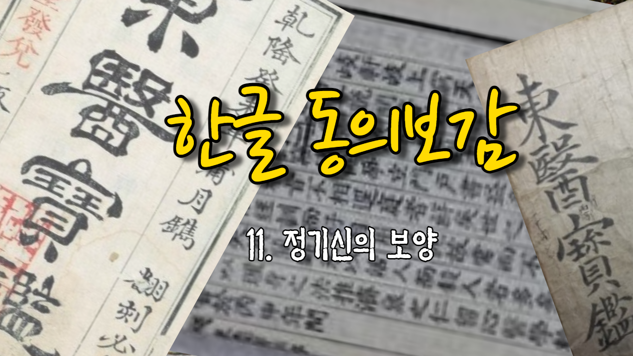  11. 정기신(精氣神)의 보양(保養) ( 내경편 신형 )