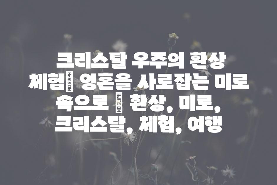 샘플 (46)