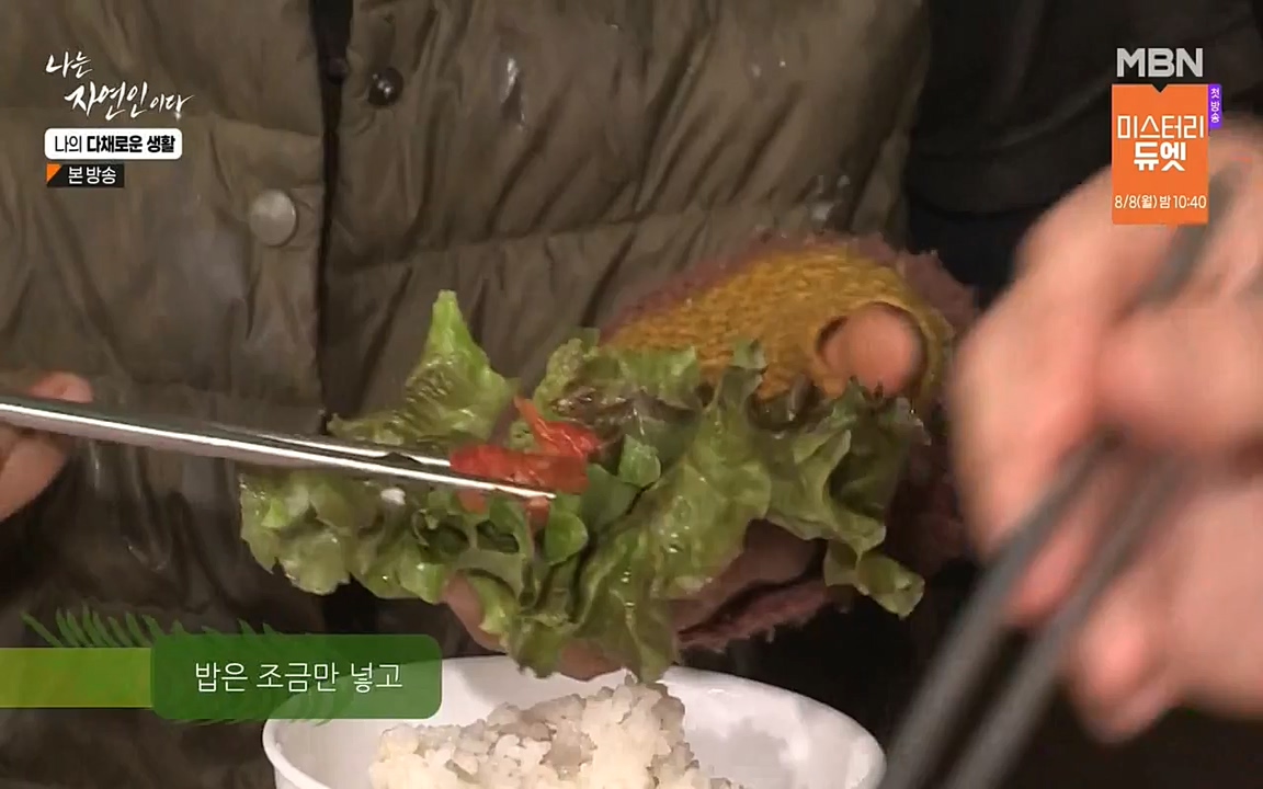 나는 자연인이다.E513.220804p-NEXT.mp4_20220804_202008.241.jpg