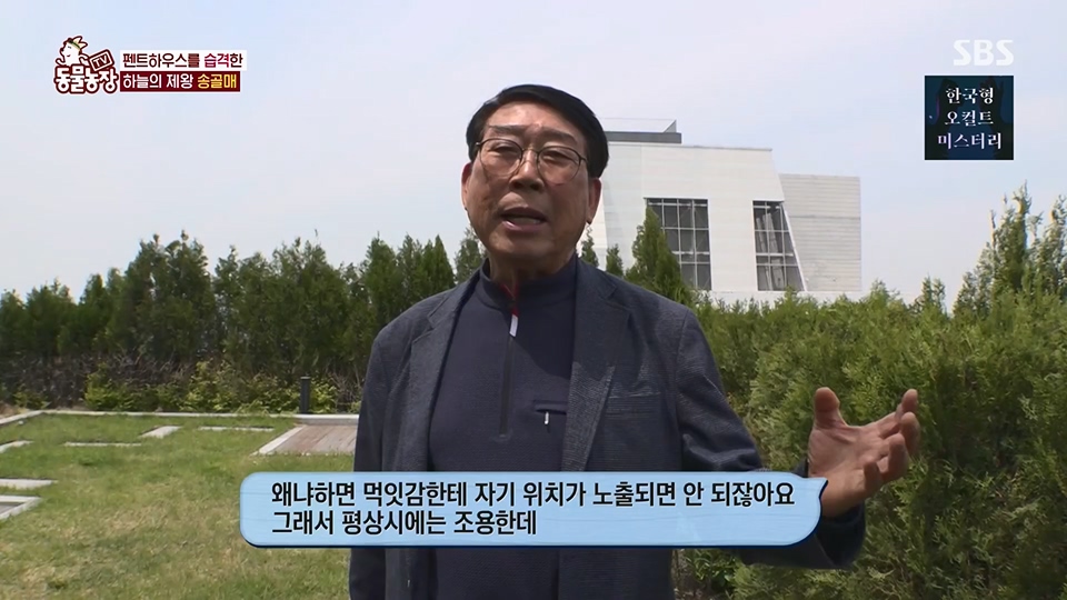TV 동물농장.E1125.230618p.H264-F1RST.mp4_20230618_192111.610.jpg